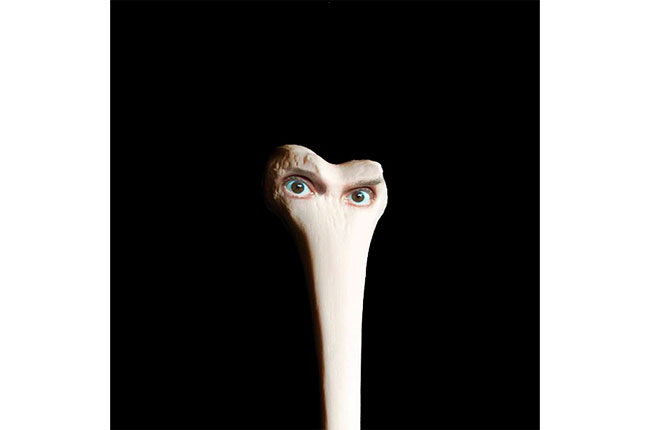 Juana Molina - Halo