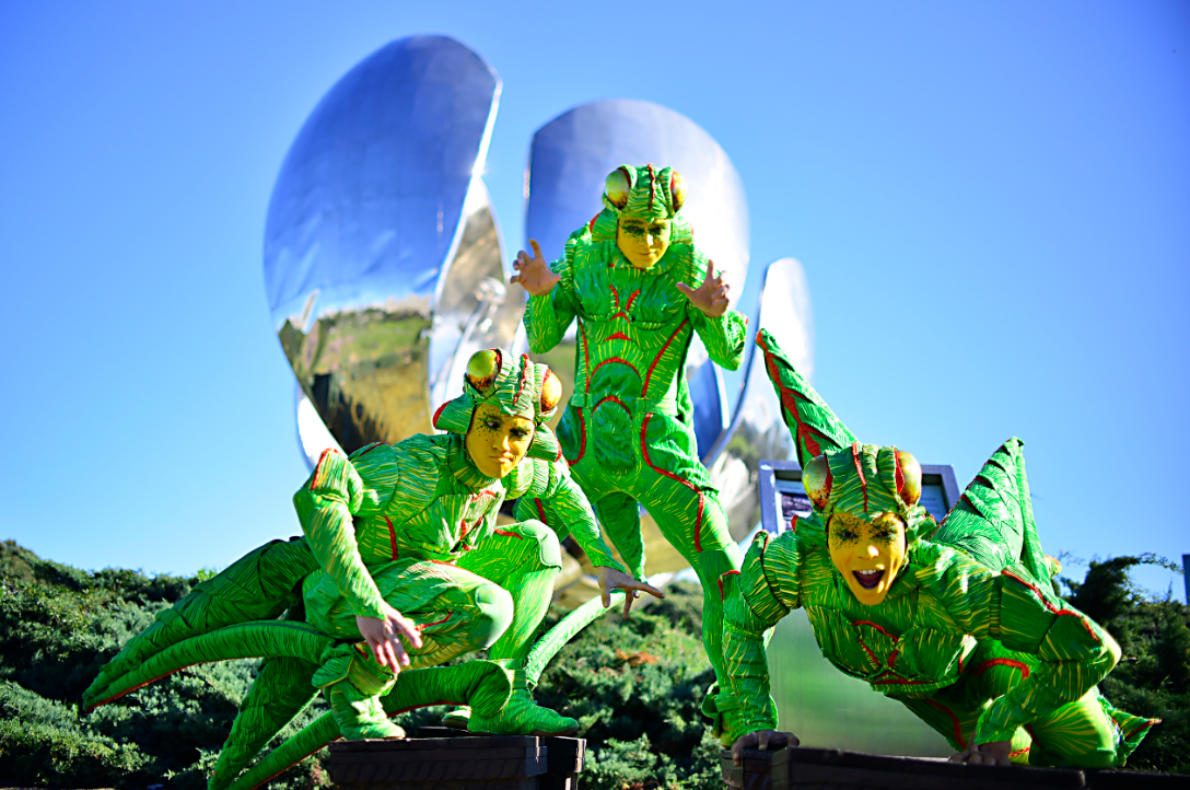 Cirque du Soleil presenta ‘OVO’ en Buenos Aires