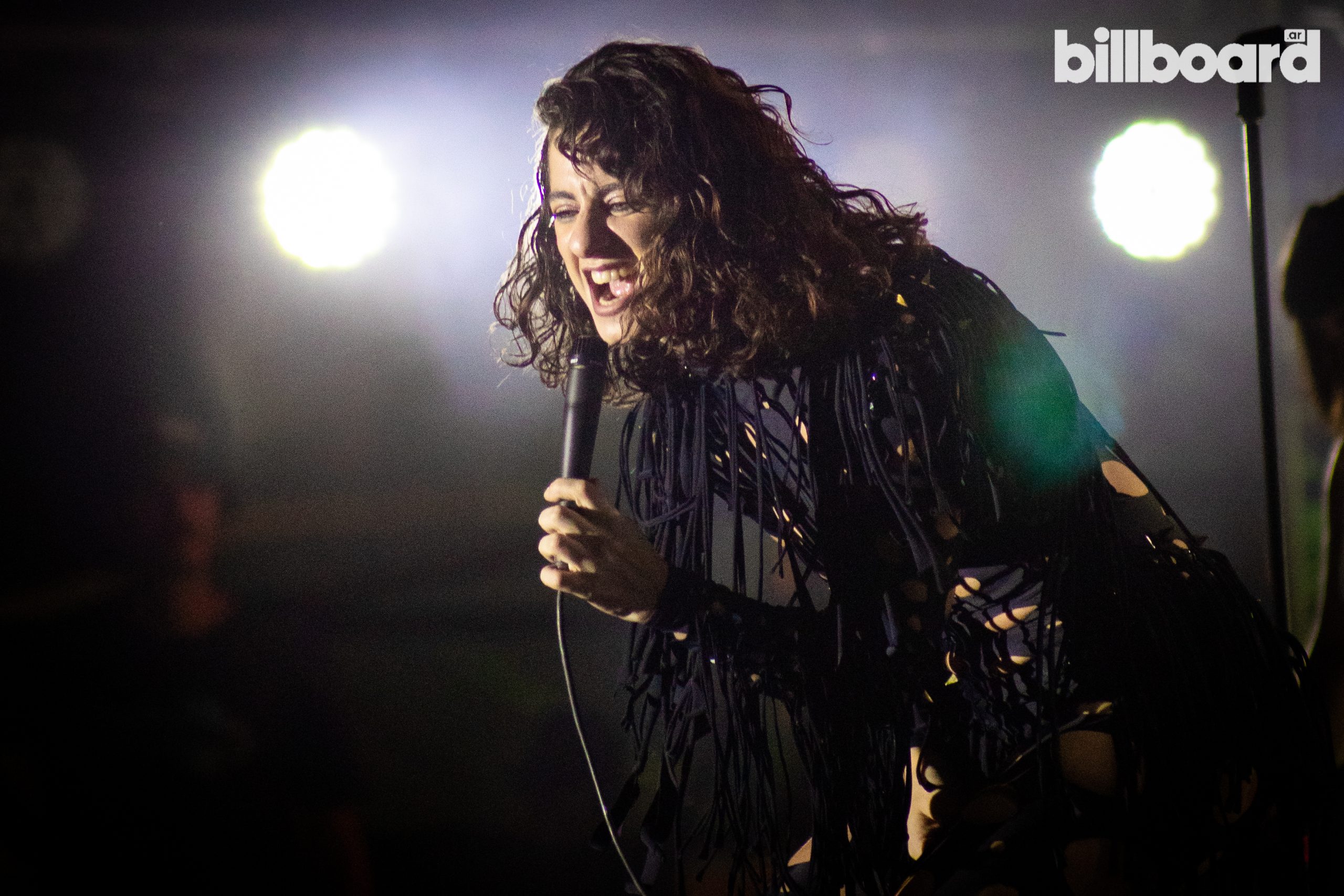 Más de 200.000 personas dijeron presente en Rock En la Casa
